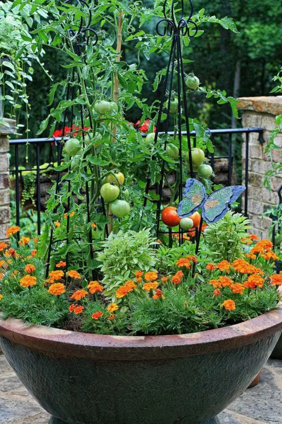 Summer Flower Gardens: Lush Landscapes & Vibrant Pots