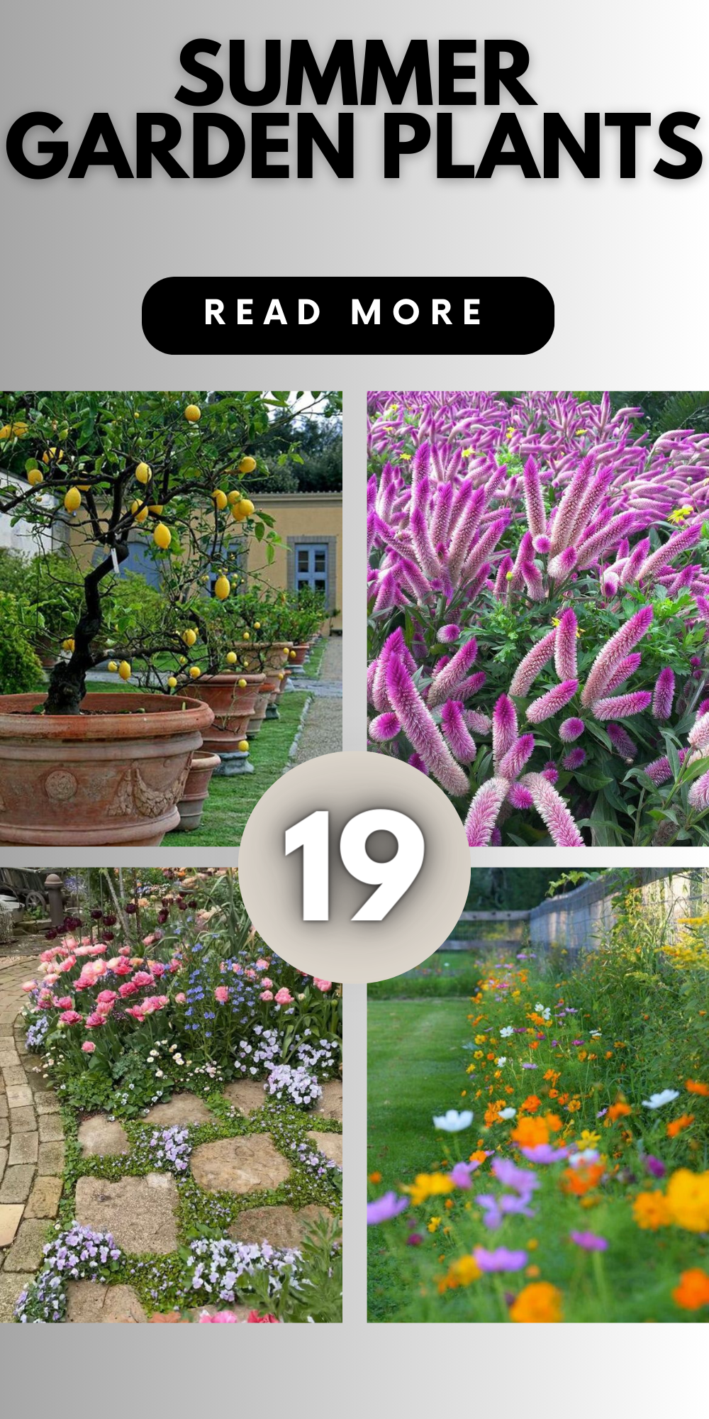 Summer Garden Plants: Vibrant Blooms & Edible Harvests