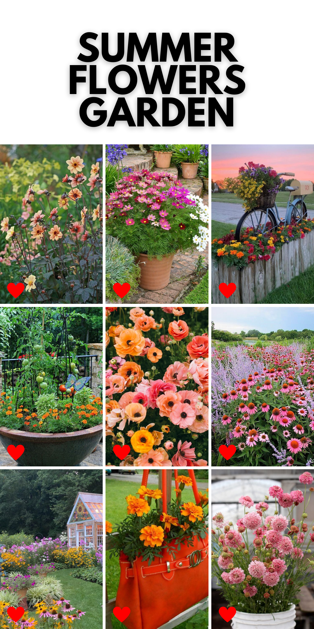Summer Flower Gardens: Lush Landscapes & Vibrant Pots