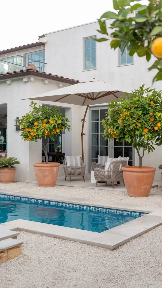 Stunning Pool Pavilion Ideas for Outdoor Living - Modern & Rustic Styles